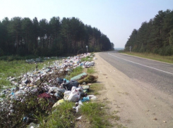 В Воронеже обсудили способы борьбы с загрязнением федеральных трасс