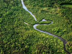 «Зеленый огород» Увайдова под Воронежем увеличили до 15,1 га