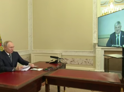 «Есть проблемные вопросы»: Владимир Путин поговорил с воронежским губернатором