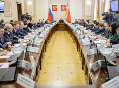 Окончательную судьбу яблоневого сада озвучили воронежские власти