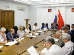 Ни слова о Ендовицком: о чем говорили депутаты Вороблдумы на внеплановом заседании