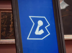 Новую эмблему гандбольного клуба презентовали в Воронеже