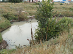 Активисты просят превратить грязную лужу обратно в озеро в микрорайоне Воронежа