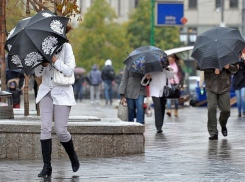 Дожди и потепление ждут воронежцев на выходных