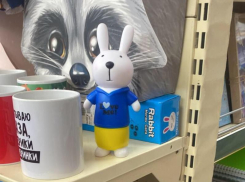 Сине-желтый зайчик смутил жителя Воронежской области