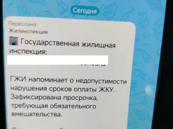 Мошенники прикидываются сотрудниками ГЖИ и пугают воронежцев долгами за коммуналку
