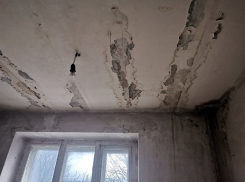 Гадкие последствия каперемонта крыши показали на фото в Воронеже 