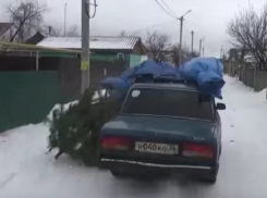 Погоня за елочным вором под Воронежем попала на видео 