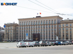 Воронежское правительство ответило депутату Госдумы и вдове погибшего в СВО росгвардейца 