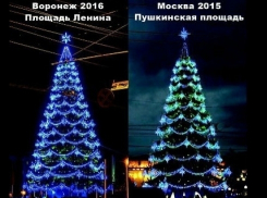 Мэрия Воронежа: Новогодняя ёлка, привезенная из столицы, абсолютно новая