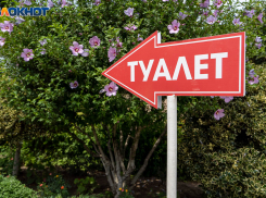 С приобретения мобильных туалетов в Воронеже начинают подготовку к Дню города