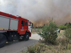 Горит 10 га: подробности разбушевавшегося пожара раскрыли в воронежском МЧС