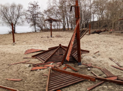Деревянные грибки воронежского парка «Дельфин» горожане «пустили на шашлык» 