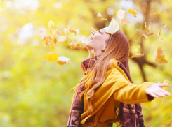 В Воронеж придет солнечное бабье лето