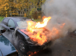 Воронежские полицейские помогли автоледи потушить машину 