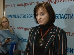 Чиновница облправительства с камнем на шее поведала о детских выплатах