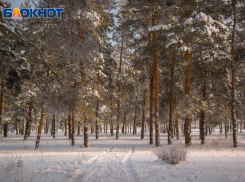 Место Воронежской области в экологическом рейтинге по регионам России