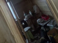 Запах мочи и мусора: самую мерзкую квартиру обнаружили в Воронеже