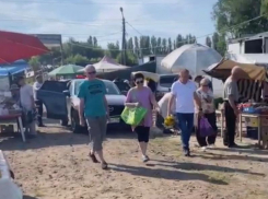 Стало известно, куда переехал Птичий рынок в Воронеже