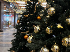 Зимняя сказка: как выглядит новогодний Воронеж