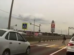 Одноклассники сбитой у «Града» девочки обратились в облдуму