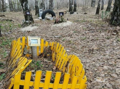 На кладбище домашних животных наткнулись велосипедисты в Воронеже 