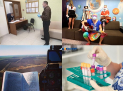 Коронавирус в Воронеже 9 апреля: без зараженных, первый штраф за нарушение самоизоляции и полет с иконой