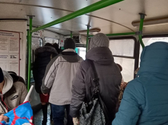 «По уши сыты Газелями»: воронежцы задали неудобные вопросы Новоусманской администрации