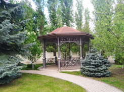 Чиновники нашли новый «фронт работ» на территории правительственной гостиницы в центре Воронежа