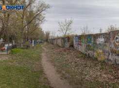 Как за 23 года могила легендарного Хоя превратилась в место паломничества в Воронеже