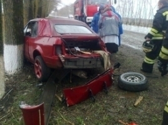 «Опель» врезался в дерево под Воронежем: есть раненые 