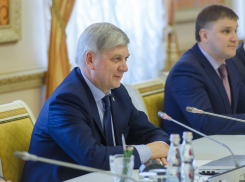 Александр Гусев рассказал, как Воронеж укрепит дружбу с китайцами