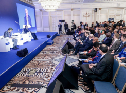 В этот понедельник Африка оказались ближе депутату облдумы Кулешовой, чем родной Воронеж