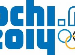 Борисоглебский пединститут заставили убрать со своей территории логотип Сочи-2014