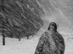 Воронежские поисковики рассказали, как вернули матери сына