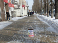 «Рекламные домики» посреди тротуаров возмутили жителей Воронежа