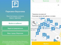 В Воронеже запустили приложение и «горячую линию» по платным парковкам