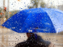 В Воронеж на рабочей неделе вернутся дожди