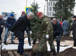 Губернатор Гусев помог посадить именные голубые ели в Воронеже