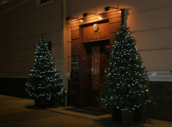 Как Воронеж украсили к Новому году (ФОТО)