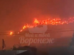 Частые пожары на полигоне ТБО проверят дознаватели МЧС под Воронежем после очередного возгорания 