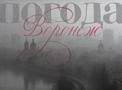 Ощущается как обморожение: из-за какой погоды не захочется выходить на улицу в Воронеже? 