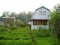 Стало известно, насколько снизились цены на воронежские дачи