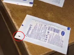 Кросс бесстрашных тараканов по больничной тумбочке сняли в Воронеже 