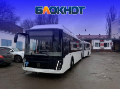 Почему автобусы-гармошки не вышли на улицы Воронежа после Нового года