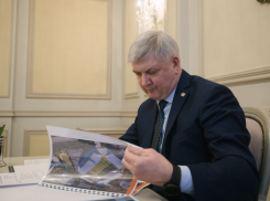 Стало известно о трудностях при строительстве стадиона «Факела» в Воронеже