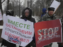 Пока воронежское правительство молчит, единороссы в Госдуме подключаются