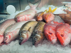 В Воронежской области можно было отравиться мясом и рыбой