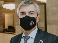 Депутат Госдумы Ревенко столкнулся с политикой «бестий» в Воронеже 