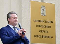 Хуже прошлогоднего оказалось в январе исполнение бюджета Воронежа